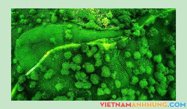 Việt Nam mình rất đẹp!