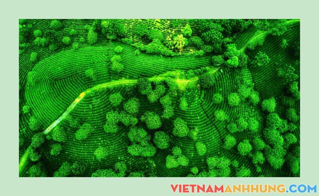 Việt Nam mình rất đẹp!