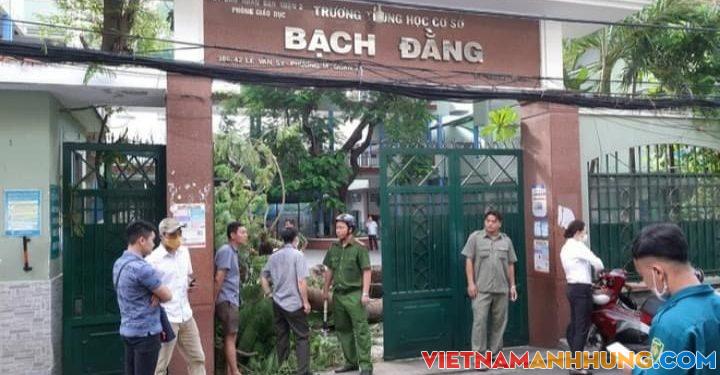 Hiện trường vụ cây phượng bật gốc khiến một em học sinh tử vong