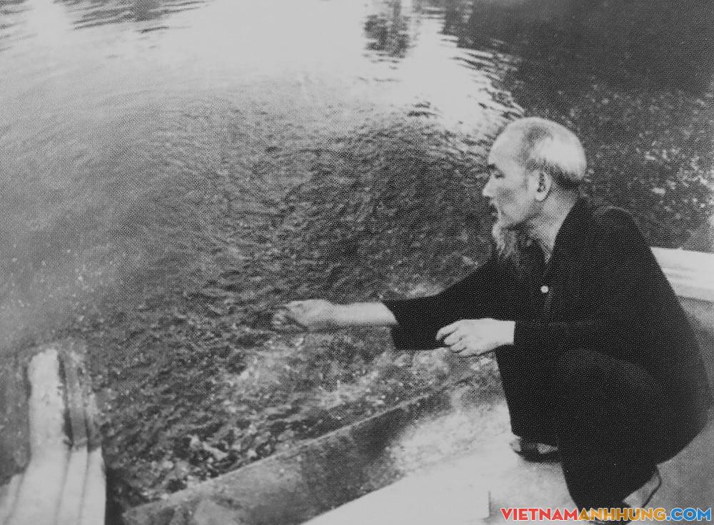 “Một đời thanh bạch chẳng vàng son”