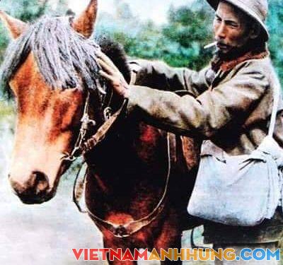 Bác Hồ “tiết kiệm” đi ngựa