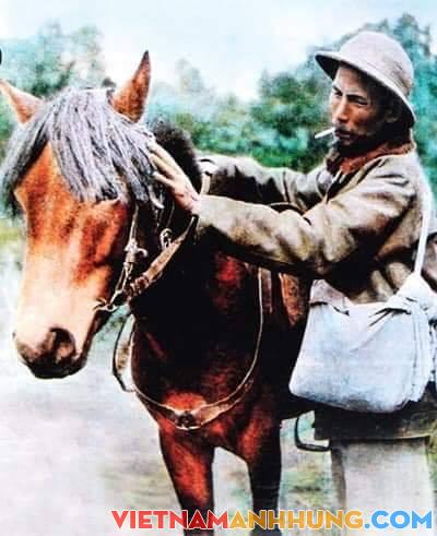 Bác Hồ “tiết kiệm” đi ngựa