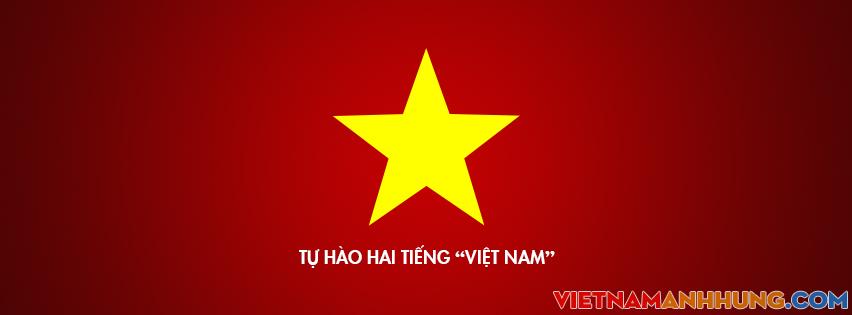 Tự hào hai tiếng Việt Nam