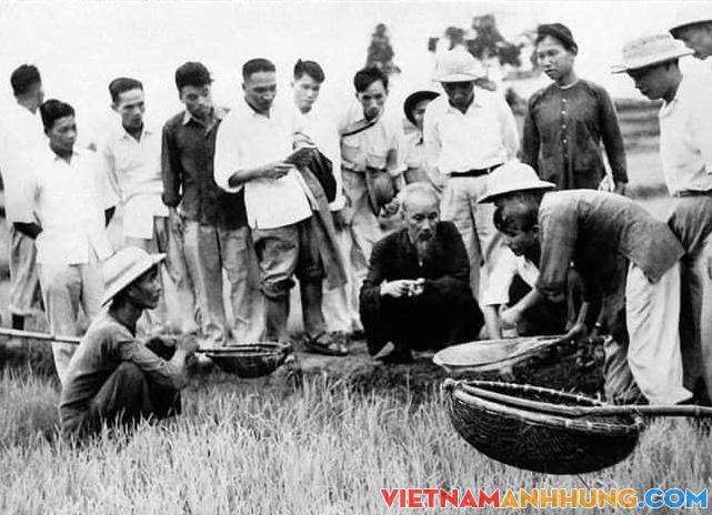 Ai to nhất nước ta?