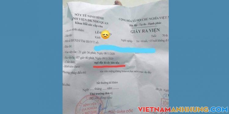 Cảnh báo ngộ độc lá cây “Kim Tiền”