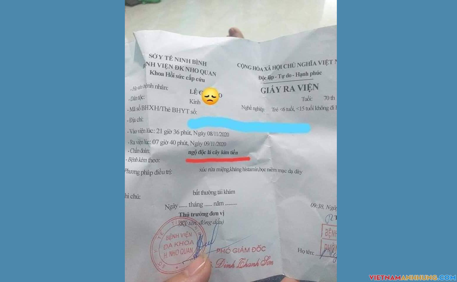 Cảnh báo ngộ độc lá cây “Kim Tiền”