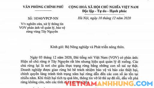 Chấn chỉnh, nâng cao hiệu quả quản lý, bảo vệ rừng!