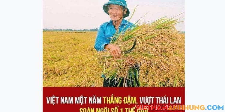 Việt Nam một năm thắng đậm, vượt Thái Lan soán ngôi số 1 thế giới