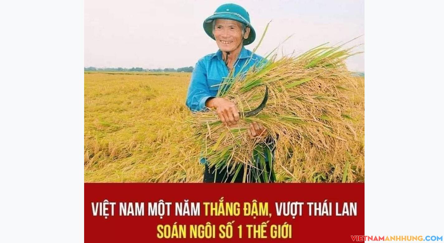 Việt Nam một năm thắng đậm, vượt Thái Lan soán ngôi số 1 thế giới