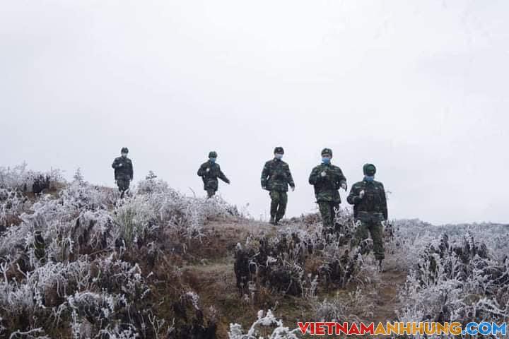 Tuyết treo trên đầu súng