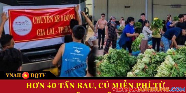 Hơn 40 tấn rau, củ miễn phí từ Gia Lai đến thành phố Hồ Chí Minh