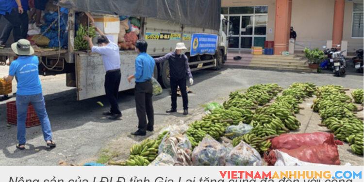 37 tấn nông sản đồng hành cùng công nhân TP HCM chống dịch