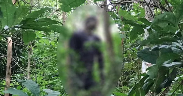 Người đàn ông có hình xăm con rồng chết trong tư thế treo cổ