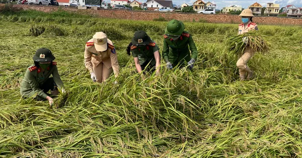 Chuẩn bị sẵn sàng di dời dân, ứng phó bão số 5