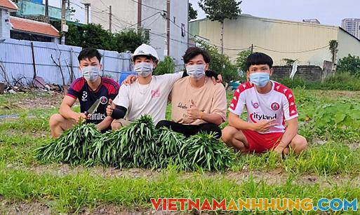 Bốn nam sinh Sài Gòn trồng rau tặng hàng xóm