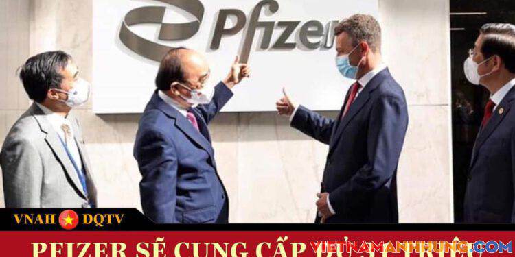 PFIZER SẼ CẤP ĐỦ 31 TRIỆU LIỀU VACCINE CHO VIỆT NAM NĂM 2021