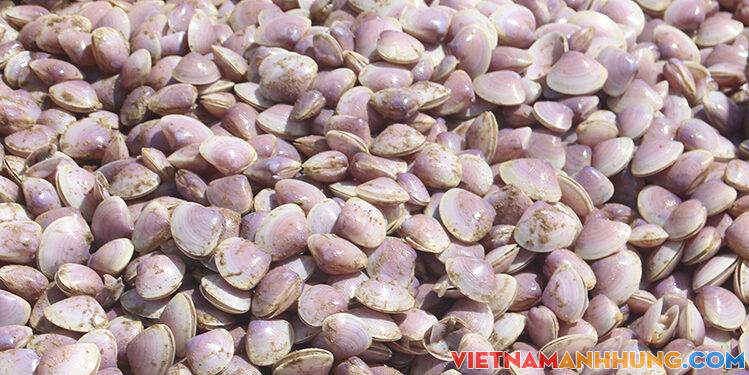 Hàng trăm người ra bãi biển nhặt ‘lộc trời’