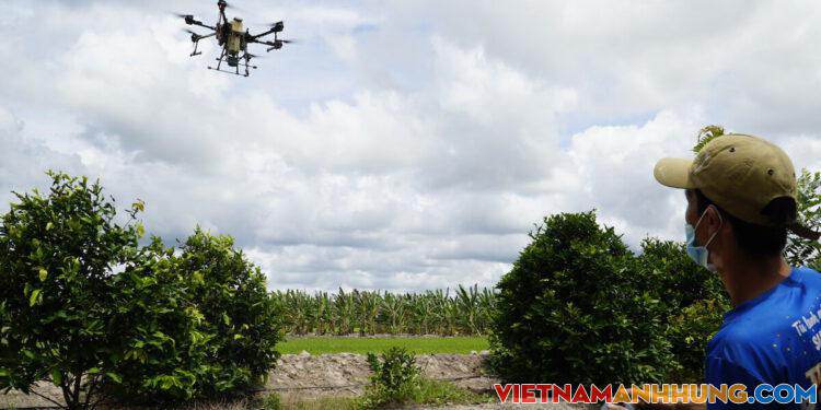 Nghề lái máy bay phun thuốc ở miền Tây