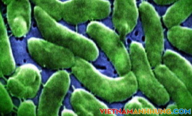 Sau khi chế biến cá, người phụ nữ bị nhiễm khuẩn phải cắt bỏ cả bàn tay