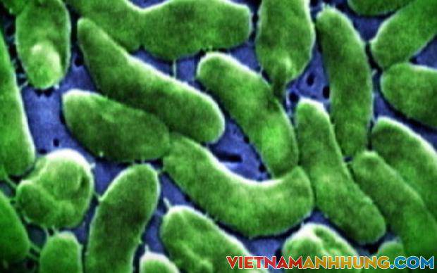 Sau khi chế biến cá, người phụ nữ bị nhiễm khuẩn phải cắt bỏ cả bàn tay
