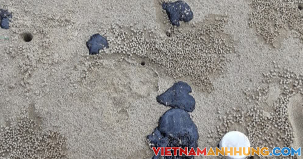 Hơn 20 km bờ biển Quảng Trị xuất hiện dầu vón cục dạt vào, khối lượng hơn chục tấn
