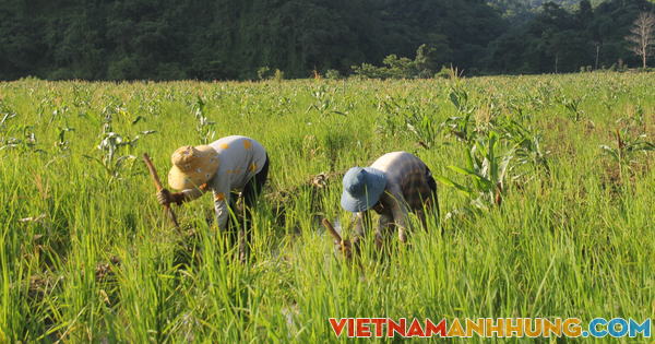 Yêu cầu 3 cán bộ, công chức xã trả lại tiền người dân “tự nguyện hỗ trợ”