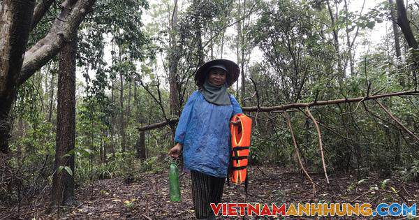 Thừa Thiên – Huế: Hàng chục người đi rừng vẫn chưa về nhà