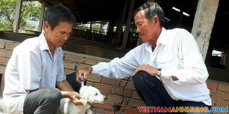 Nâng cao ý thức cộng đồng phòng chống bệnh Dại