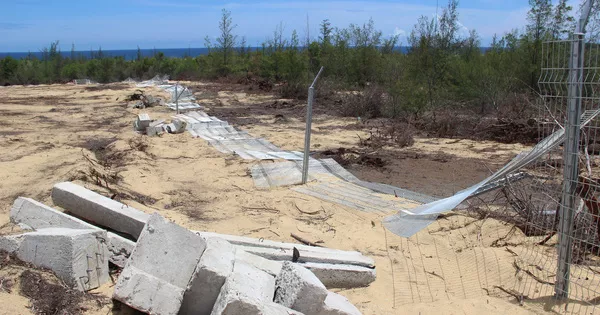 Chuyện thật như đùa ở Bình Định: Doanh nghiệp phá rừng, huyện báo cáo lấn chiếm đất!