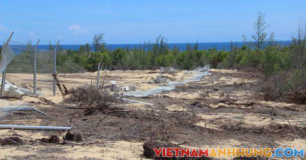 Phá 5,26 ha rừng phòng hộ ven biển, doanh nghiệp chỉ bị đề xuất phạt hành chính