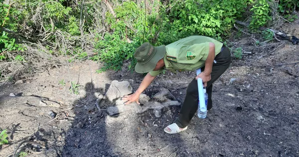 Bình Định: Đi kiểm tra, kiểm lâm phát hiện gần 6 ha rừng tự nhiên bị xóa sổ