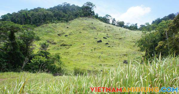 UNESCO công nhận Núi Chúa và Cao nguyên Kon Hà Nừng là Khu dự trữ sinh quyển thế giới