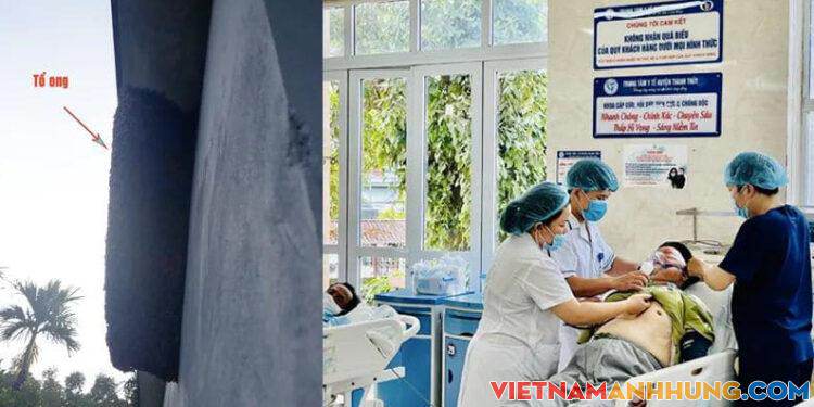Giữ ong trong nhà, gia đình 5 người nhập viện cấp cứu, 1 con chó thiệt mạng