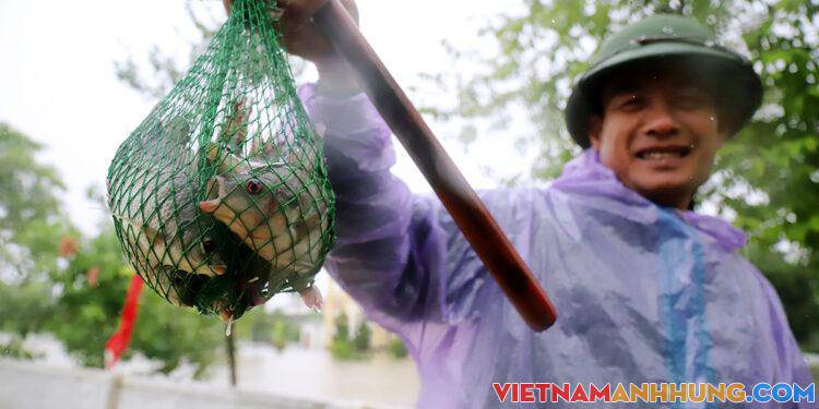 Bắt cá đồng mùa lũ