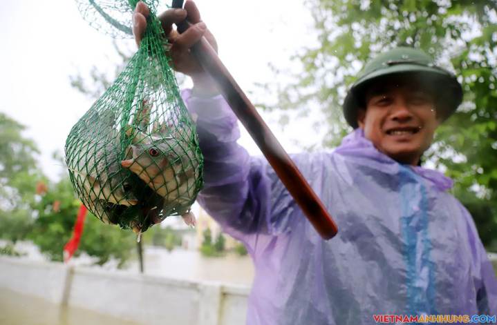 Bắt cá đồng mùa lũ