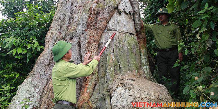 ‘Báu vật’ ở Vườn quốc gia Bến En