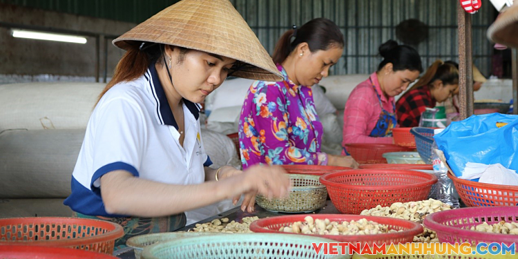 Dự án SME Trà Vinh tiếp sức doanh nghiệp nhỏ và vừa