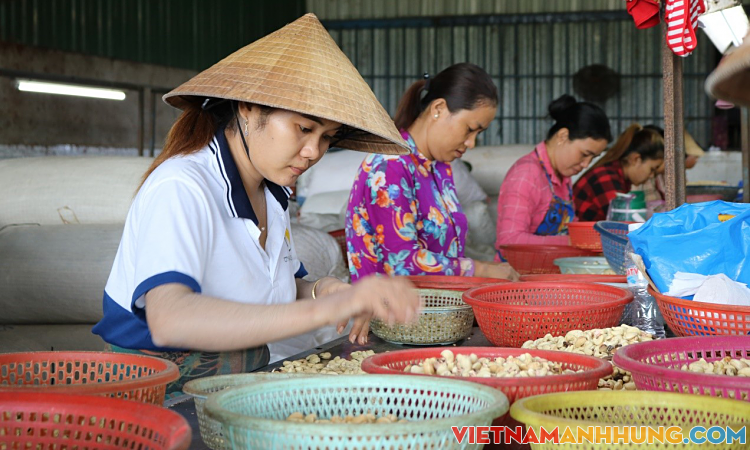 Dự án SME Trà Vinh tiếp sức doanh nghiệp nhỏ và vừa