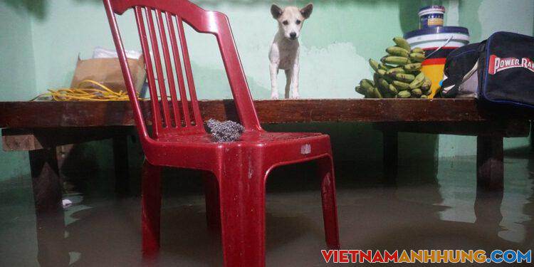 Lũ cô lập nhiều nơi ở Quảng Ngãi