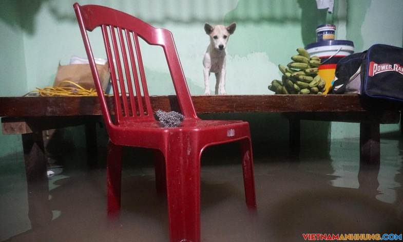 Lũ cô lập nhiều nơi ở Quảng Ngãi