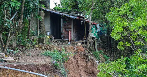 CLIP: Hơn chục hộ dân sống trong lo lắng vì hàng trăm mét sông Hồng sạt lở nghiêm trọng