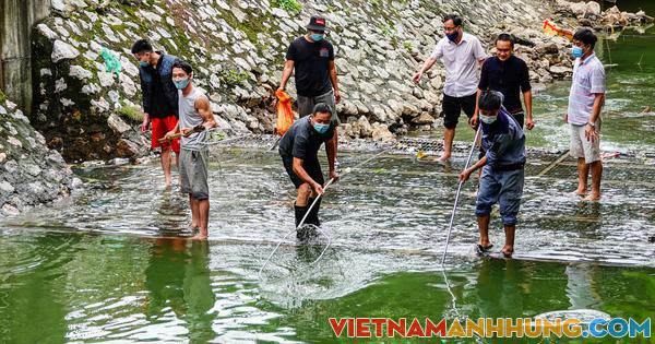 CLIP: Sông Tô Lịch bất ngờ xanh, nhiều người dân vui mừng bắt hàng tạ cá