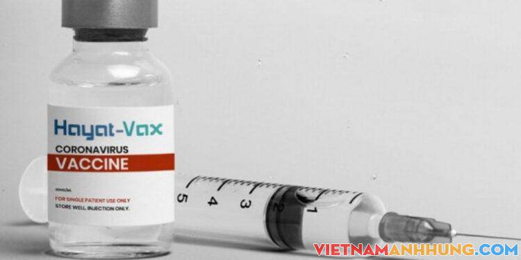 Cấp giấy xuất xưởng cho vaccine Covid-19 Hayat-Vax