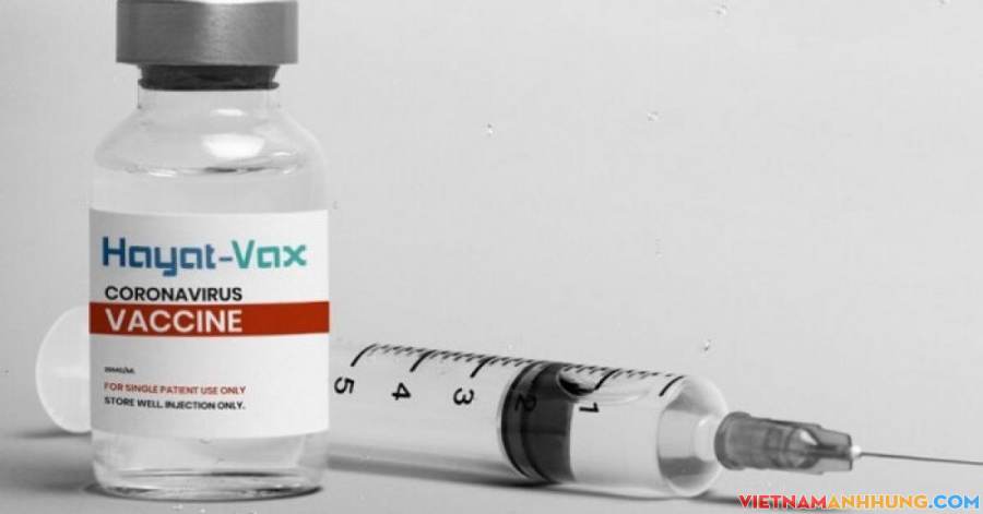 Cấp giấy xuất xưởng cho vaccine Covid-19 Hayat-Vax