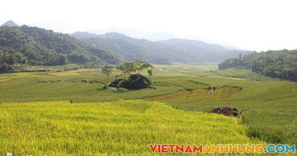 Mùa vàng ở Pù Luông – Sa Pa của xứ Thanh