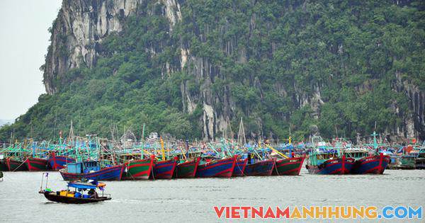 Hải Phòng, Quảng Ninh cấm biển, dừng hoạt động vận tải để ứng phó bão số 7