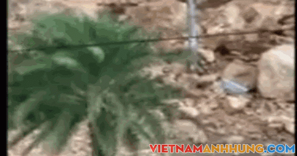 CLIP: Sạt lở núi trong nội thành Quy Nhơn, 3 người đi đường bị thương