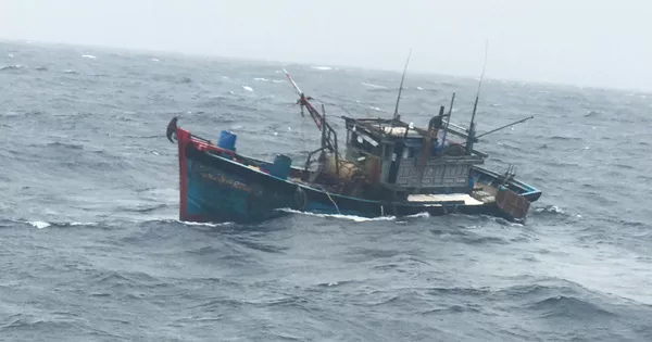 Thuyền trưởng gặp nạn bất tỉnh khi đang vào bờ tránh áp thấp nhiệt đới