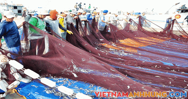 TIẾP SỨC NGƯ DÂN VƯỢT KHÓ, BÁM BIỂN (*): Lao động biển ngày càng khan hiếm