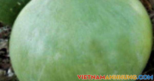 Vạt bầu thúng của mẹ